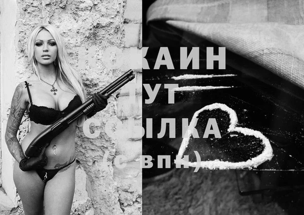мяу мяу мука Балахна