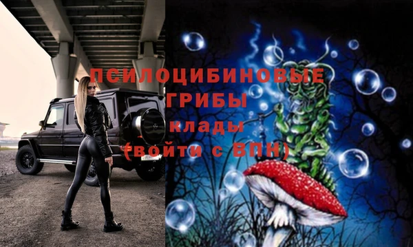 гидропоника Покров