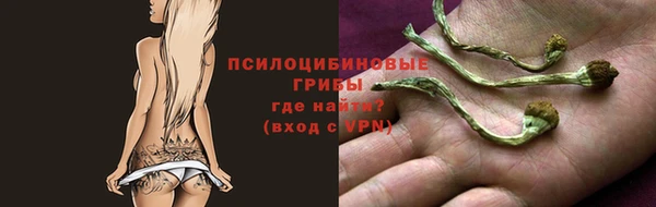 мяу мяу мука Балахна