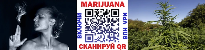 Бошки Шишки план Луховицы